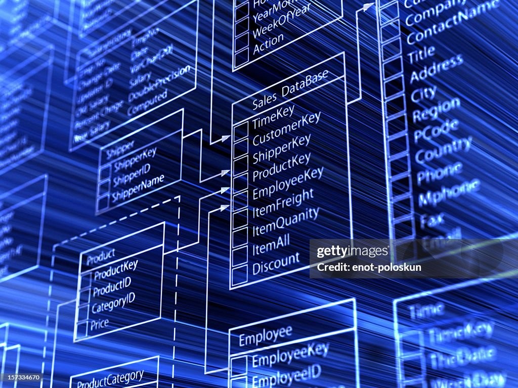 Read more about the article 1.	Database Essentials: SQL and MongoDB Unveiled